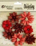 Teastained Red - Darjeeling Collection - Mini Mix x8