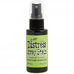 May Color of the Month - Twisted Citron - Tim Holtz Distress Spray